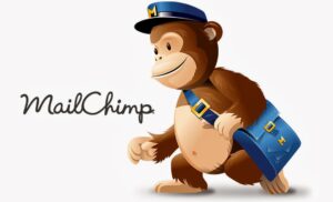 Cómo adjuntar archivos en Mailchimp