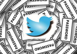Aprende cómo ver la contraseña de Twitter en el móvil o en el PC